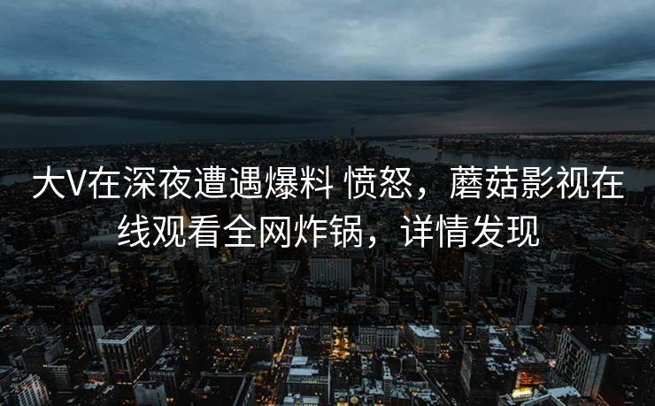大V在深夜遭遇爆料 愤怒，蘑菇影视在线观看全网炸锅，详情发现