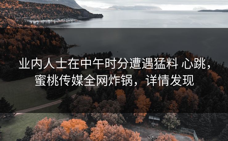 业内人士在中午时分遭遇猛料 心跳，蜜桃传媒全网炸锅，详情发现