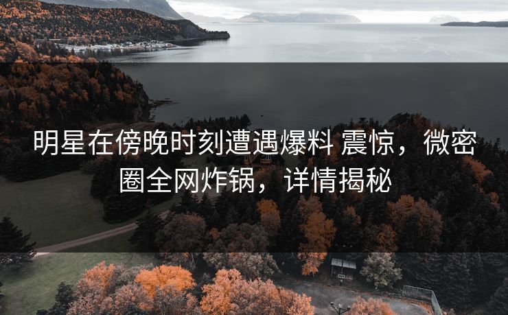 明星在傍晚时刻遭遇爆料 震惊，微密圈全网炸锅，详情揭秘
